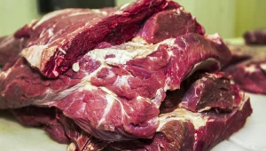 Tarifaço dos EUA contra trabalho forçado poupa carne, aviões e outros itens