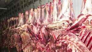 Carne bovina brasileira escapa da tarifa americana de 25% e setor respira aliviado