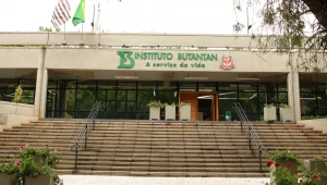 Brasil anuncia produção de vacina contra a bronquiolite