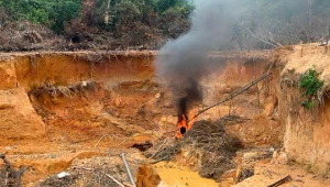 Garimpo ilegal destrói área equivalente a seis mil campos de futebol na Amazônia