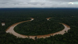 COP30 em Belém: transformações sociais e ambientais para 500 mil pessoas, segundo BNDES