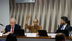 ONU envia carta ao governo brasileiro e critica PL do licenciamento ambiental