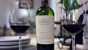 Saiba mais sobre Merlot, uva de Bordeaux que conquistou o mundo e se deu muito bem na Argentina