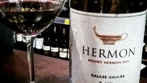 Conheça os vinhos de Israel, parte integrante da cultura hebraica há mais de 5.000 anos