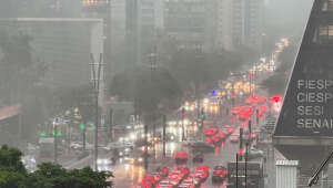 Chuva em São Paulo derruba árvores, causa engarrafamento e deixa quase 425 mil pessoas sem luz