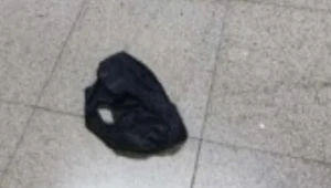 Tribunal abre investigação após calcinha ser encontrada em sala de audiências