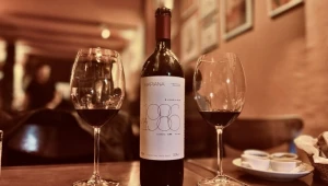Vinhos premium brasileiros são vendidos por mais de US$ 250 mil; saiba quais são