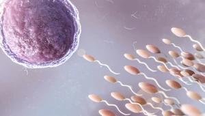 Seleção genética de embriões pode moldar o futuro de seus filhos?