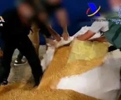 1,2 tony kokainy przechwycone. Znaleziono je na statku, pośród...