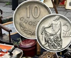 Polacy w kolejce do antykwariatu. Które stare monety warte są tysiące złotych?