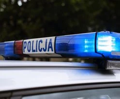 Mercedes uderzył w dzika. Horror w Lubuskiem. Nie żyją 2 osoby