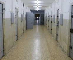 Skandal w Sanoku. Radna PiS aresztowana. Policja zatrzymała w sumie 6 osób