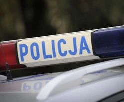 Tragedia w Wielkopolsce. Śmierć na drodze krajowej nr 11