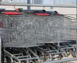 Koronawirus może znaleźć się na wózku sklepowym lub plecaku. Jak się chronić?