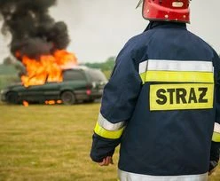 Lubuskie. Przyjechali gasić palące się auto. Dokonali makabrycznego odkrycia