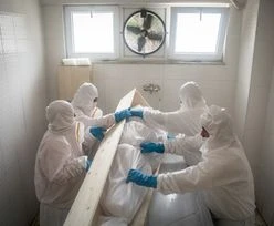 Światowy rekord. Tylu zgonów na COVID-19 jeszcze nie było