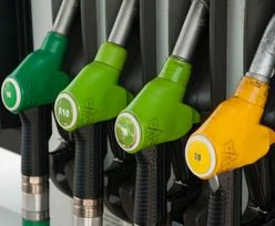 Zmiana na polskich stacjach. Przejściowe paliwo weszło od października