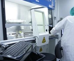 Przerażające eksperymenty Chińczyków. To, co stworzyli, chcą wszczepiać ludziom