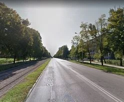 Z dnia na dzień wycięli dziesiątki drzew. 