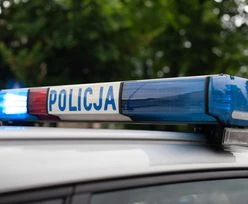 Wstrząsające odkrycie pod Siedlcami. 16-latka zakopana w lesie