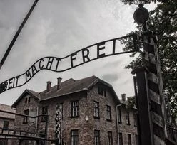 Szokujące badania. Prawie dwie trzecie dorosłych Amerykanów nie ma pojęcia o Holokauście