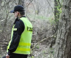 Wstrząsające odkrycie w lesie. Świadek wezwał policję