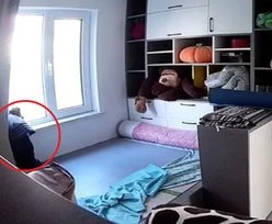 Pies sam w domu. Nagrała go kamera. Internauci nie kryli łez
