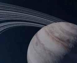 Życie na Wenus? Zaskakujące odkrycie naukowców
