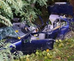 Lubelskie. Bmw uderzyło w drzewo. Nie żyje kierowca i 15-latek