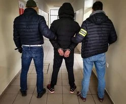 Ze szczególnym okrucieństwem zabił psa swojej matki. Grozi mu 8 lat więzienia