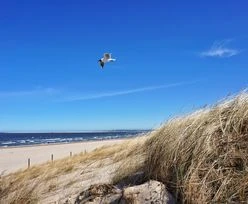 Niemiec zszokował straż miejską. Na plaży zachował się tak, jak na swoim podwórku