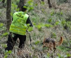 Poszedł na grzyby. Makabryczne odkrycie w lesie w Bukowcu