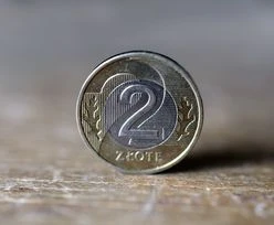 Dwuzłotówka warta 2,5 tys. zł? To możliwe