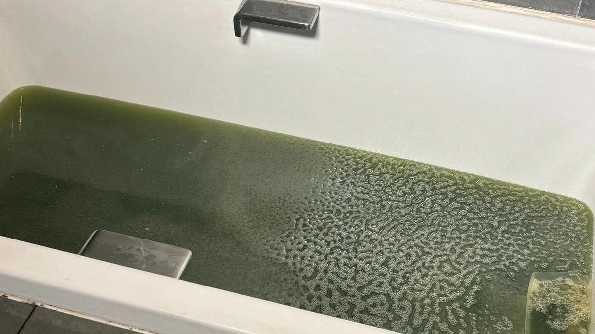 ｢ヘドロ汚れがドバドバ｣浴槽の配管内を