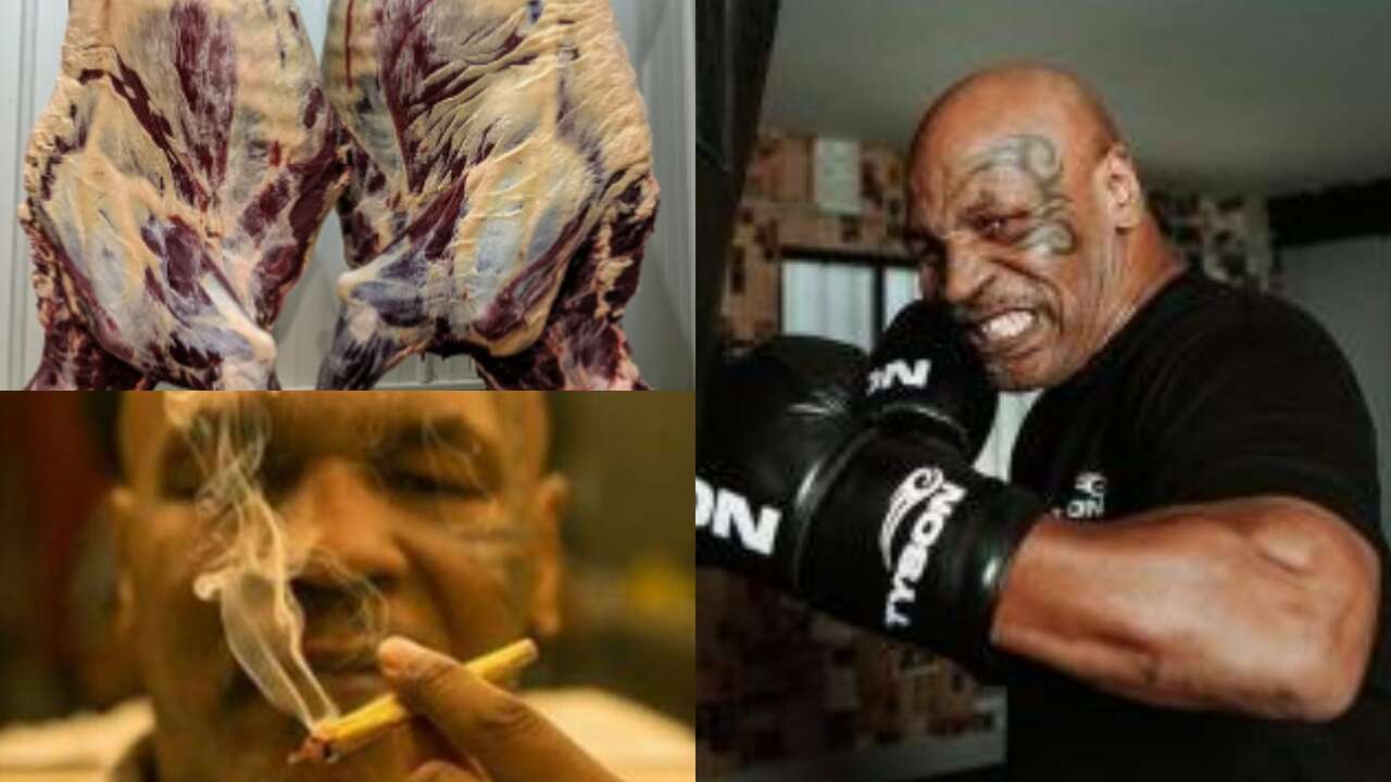 Sin sexo, abstinencia de marihuana y... ¿carne cruda?: así se prepara Mike Tyson para vencer a Jake Paul