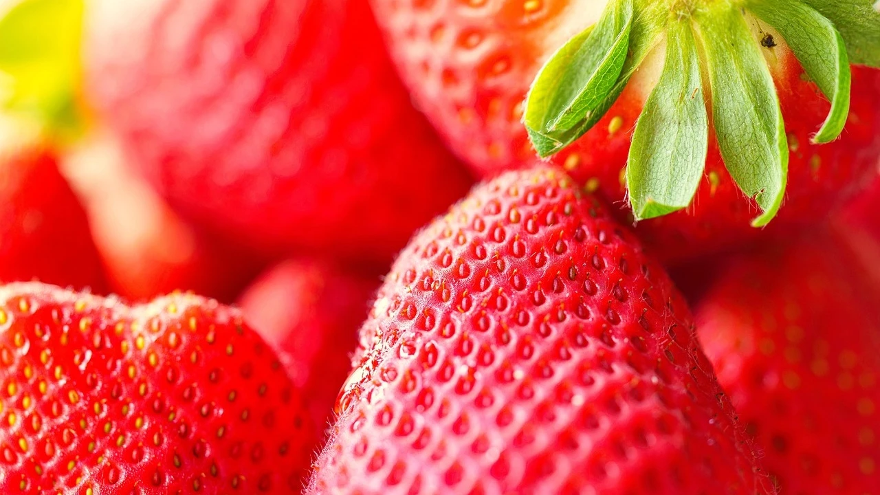 Limpia bien las fresas: utiliza un remedio casero para mantenerlas frescas por más tiempo