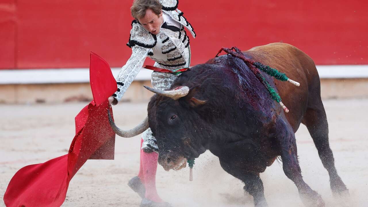 Trofeo de Román con cebadas ni malditos ni fieros en San Fermín