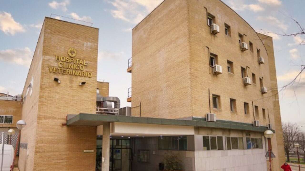 Detenido un empleado de la limpieza por violar una cabra ingresada en el Hospital Veterinario de la Complutense