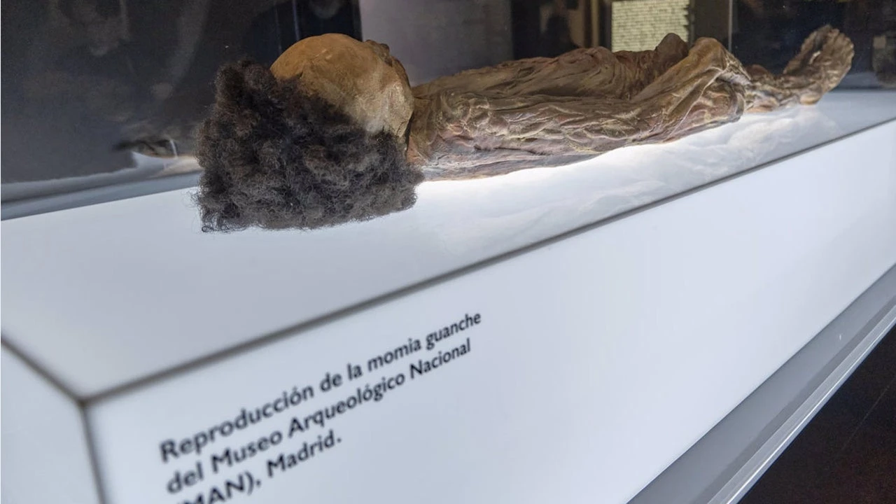 Más de 14.700 restos humanos se alojan en los almacenes de los Museos Estatales de Cultura