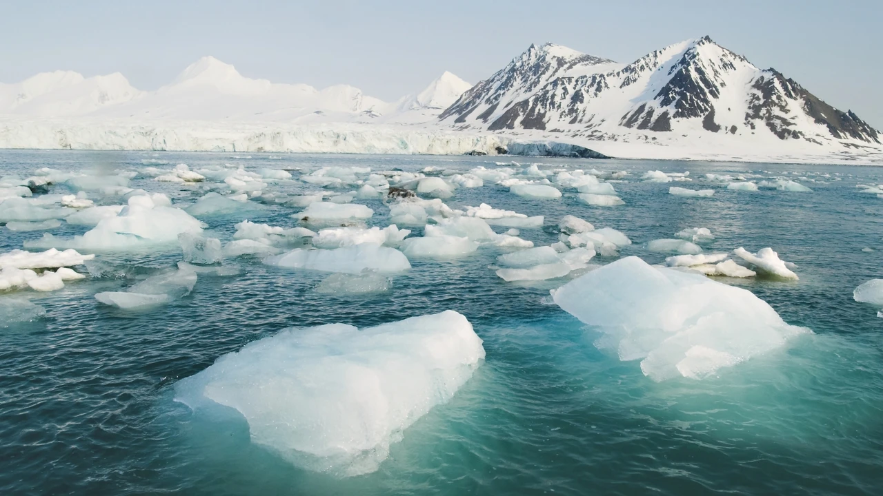 Adiós al Ártico: un estudio concluye que el hielo de este lugar del mundo va a desaparecer en muy poco tiempo