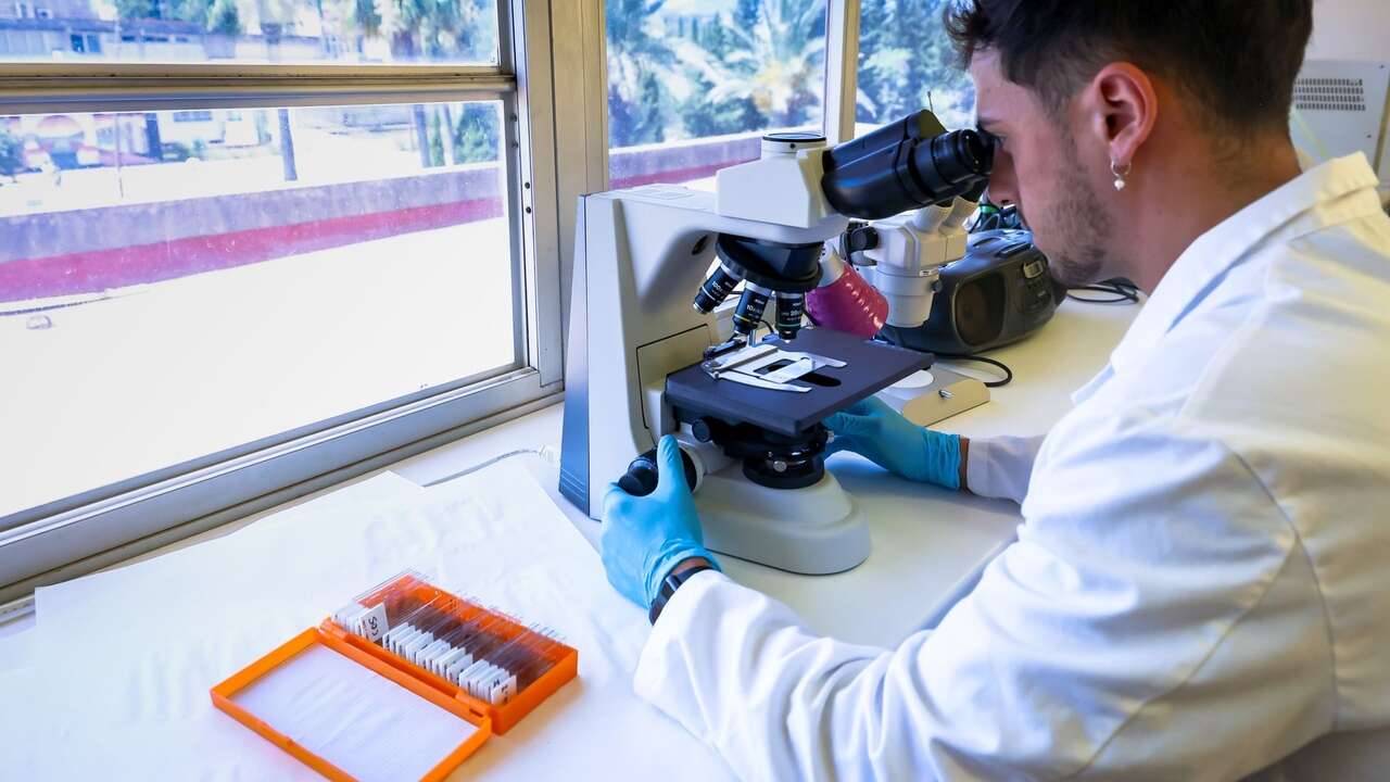 Cerca de 400 investigadores españoles estudiarán dos tipos de cáncer muy agresivos