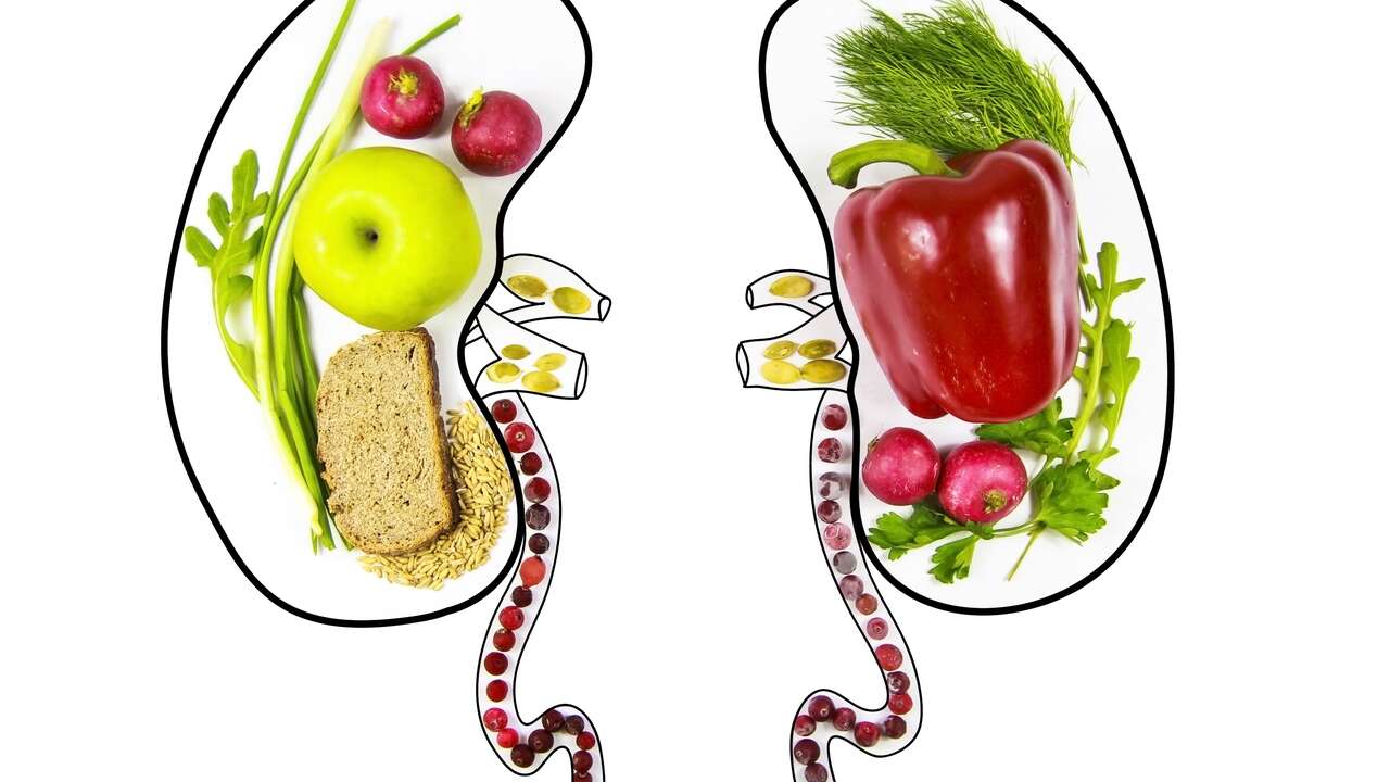 Así es la dieta que los riñones necesitan para vivir más y evitar la enfermedad renal crónica