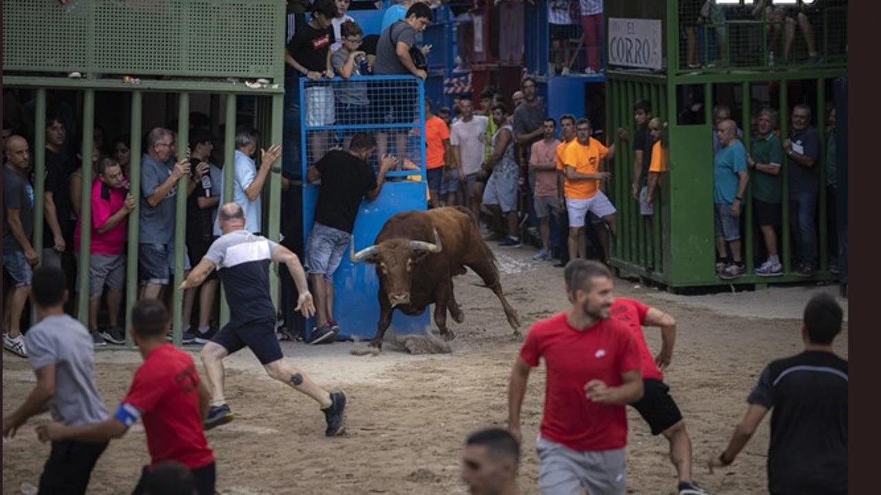 Un hombre en coma por cogida de toro en Valencia