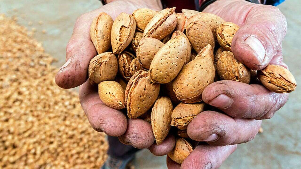 Un cardiólogo desvela el único fruto seco que come para proteger el corazón y evitar enfermedades