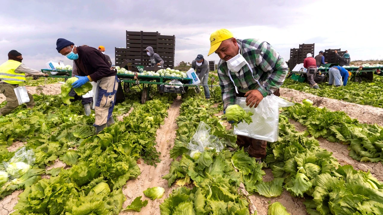 Récord de extranjeros que trabajan en España: más de tres millones, con marroquíes, rumanos y colombianos a la cabeza