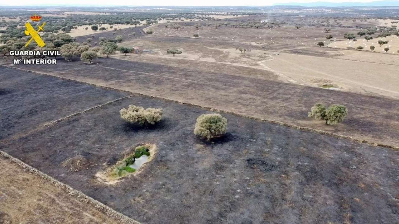 La Guardia Civil de Cáceres aclara la autoría de un incendio provocado por un carbonero