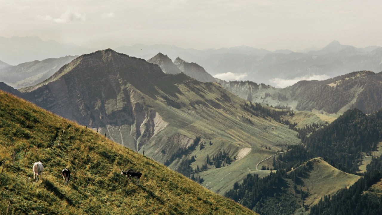 Drama de montaña a 4.000 metros: Rescate dramático en los Alpes suizos