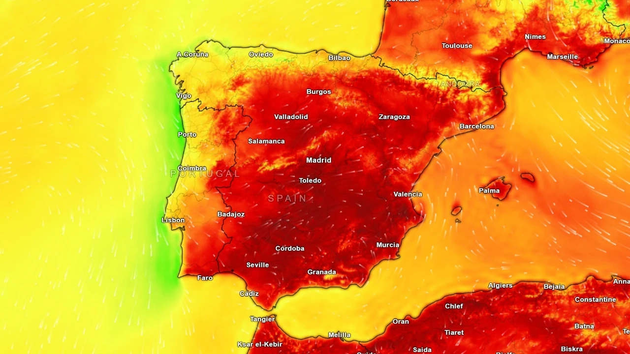 La Aemet dispara los avisos por altas temperaturas en estas provincias: llega lo peor de ola ola de calor