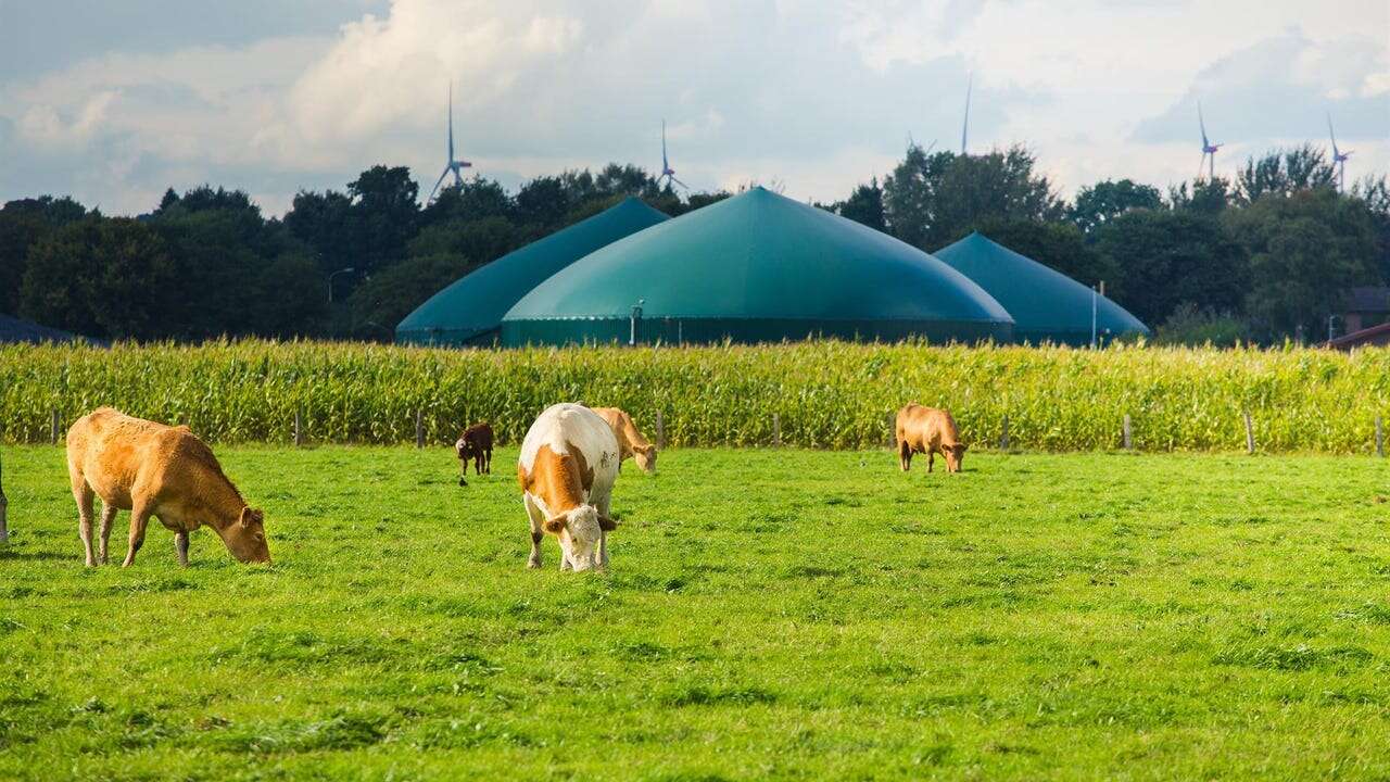 Moeve lanza un ambicioso plan para construir 30 plantas de biometano en España con una inversión de 600 millones de euros