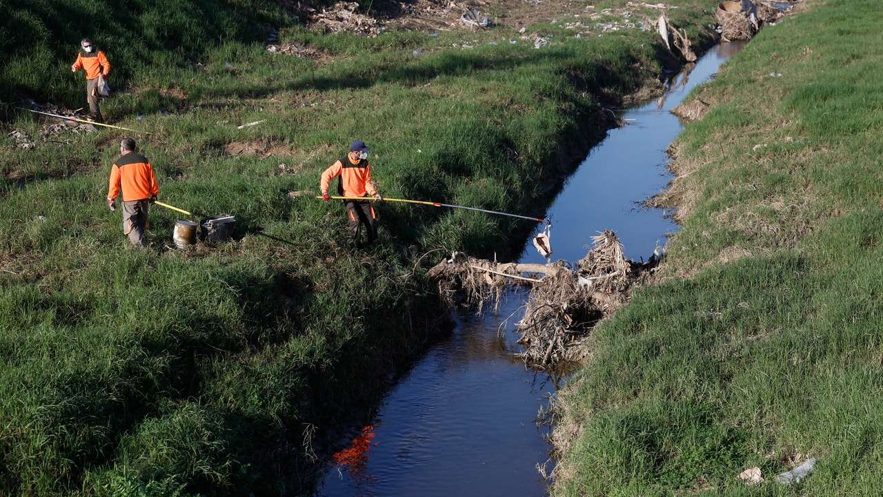 Expertos europeos piden restaurar zonas húmedas como la Albufera ante episodios como la DANA